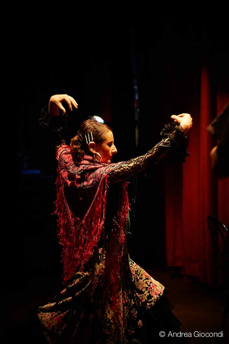 danza flamenco paola savino