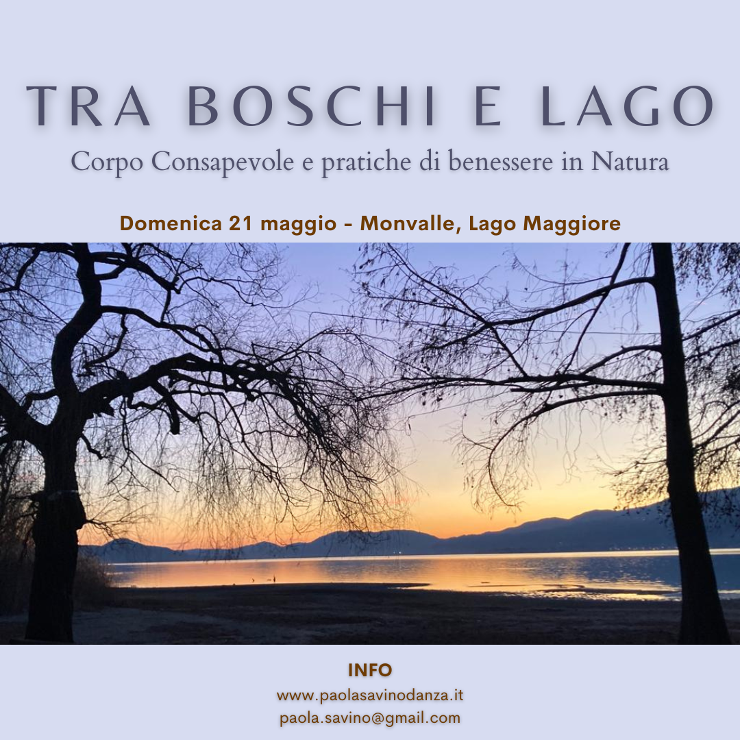 Tra Boschi e lago - locandina Tra Boschi e Lago